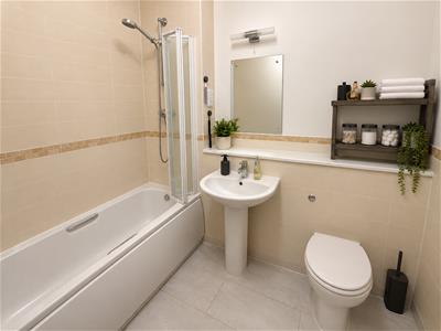 Picture 9